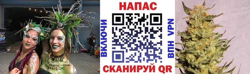 Наркошоп купить СК  Конопля  Мефедрон  Гашиш  Кокаин  Реутов