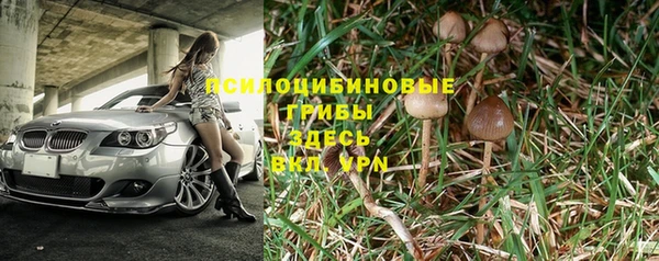 крисы Дмитровск