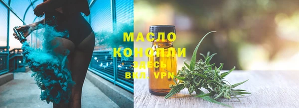 индика Дмитриев