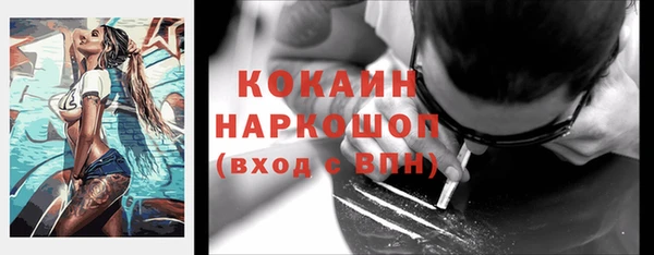 индика Дмитриев
