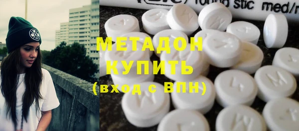 индика Дмитриев