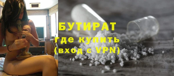 индика Дмитриев
