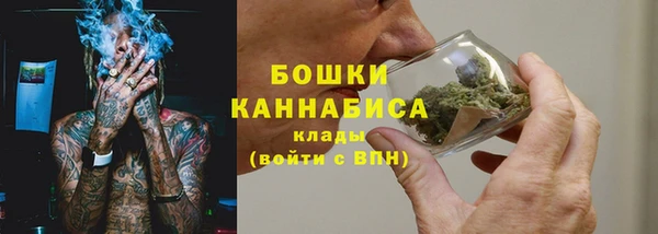 крисы Дмитровск