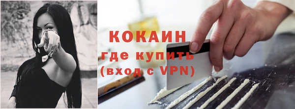 крисы Дмитровск