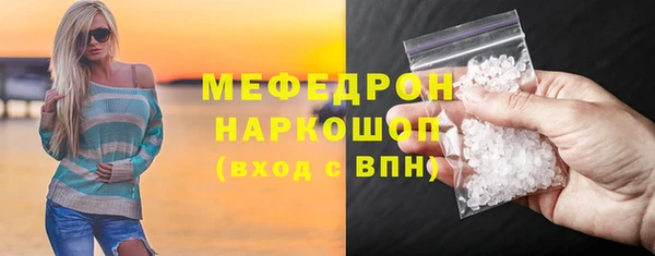 индика Дмитриев