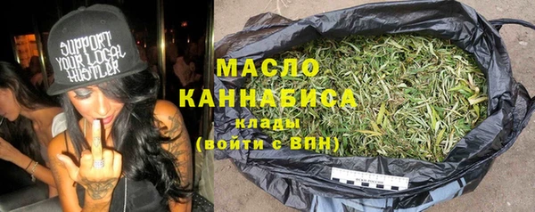 индика Дмитриев