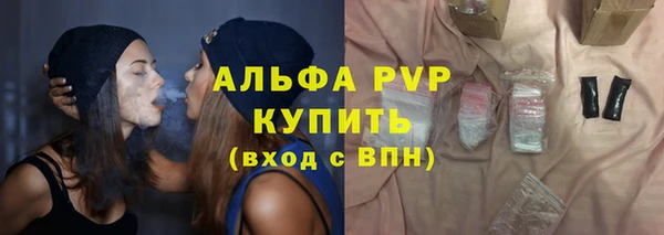 индика Дмитриев