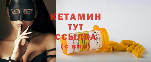 индика Дмитриев