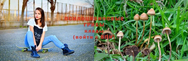 индика Дмитриев