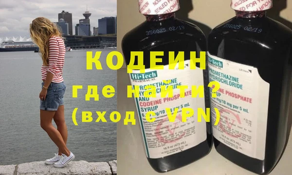 индика Дмитриев