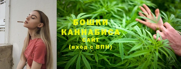 индика Дмитриев