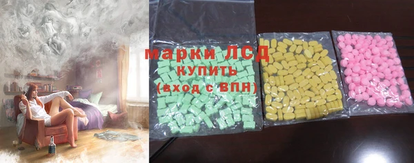 индика Дмитриев
