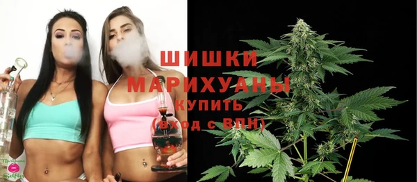 крисы Дмитровск